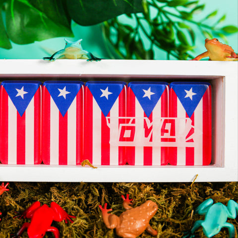 Puerto Rican Flag Dominos