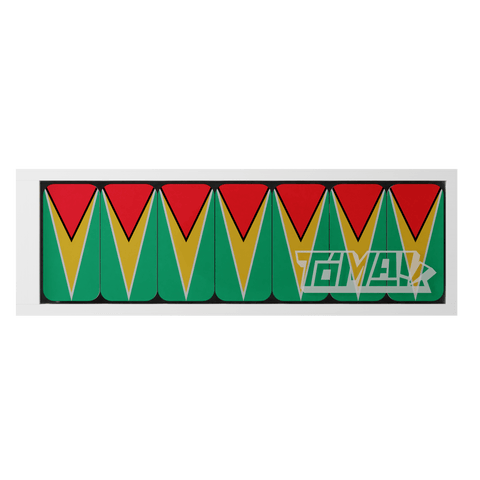 Guyana Flag Dominos