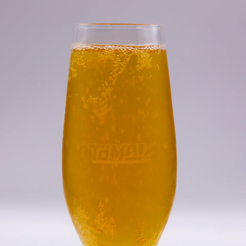 Verre à bière TOMA