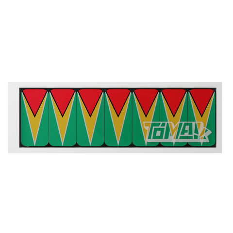 Guyana Flag Dominos